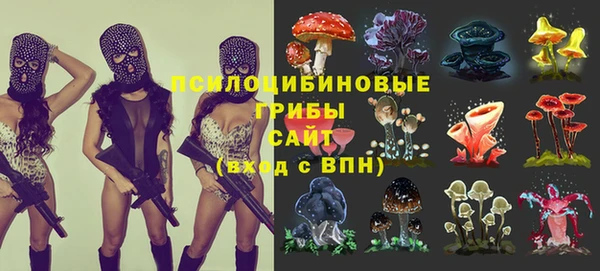 марки lsd Осташков