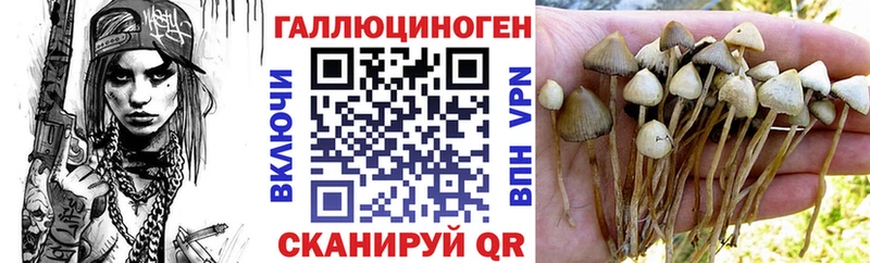 Псилоцибиновые грибы Cubensis ОМГ ОМГ рабочий сайт Разумное